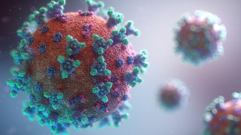 pandemia coronavírus